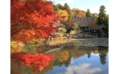 東山動植物園の写真