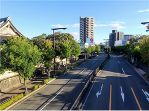 山手グリーンロード
