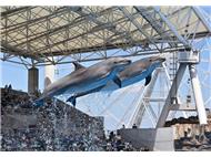 名古屋港水族館写真