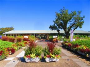 みどりが丘公園の画像