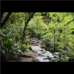 昭和美術館で撮影された入賞受賞作品