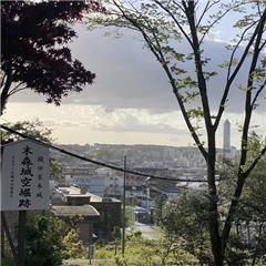 城山八幡宮で撮影された入賞受賞作品