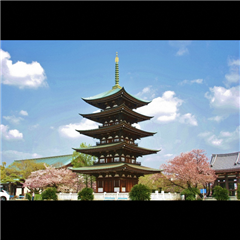 覚王山日泰寺で撮影された入賞受賞作品