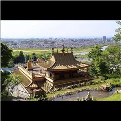 強巴林で撮影されたハッチー賞受賞作品