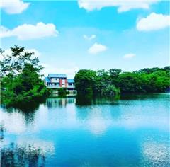 筧池で撮影された守山区モリスちゃん賞受賞作品