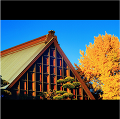 善光寺別院 願王寺で撮影された入賞受賞作品