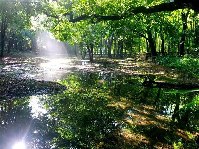 明徳公園の画像