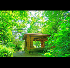 猪高緑地で撮影された入賞受賞作品