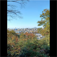 市バス沿線フォトコンテスト天白区編の天白区特別賞作品の画像です