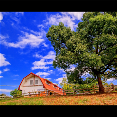 市バス沿線フォトコンテスト天白区編の優秀賞作品の画像です