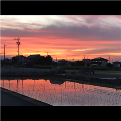 市バス沿線フォトコンテスト港区編の港区特別賞作品の画像です