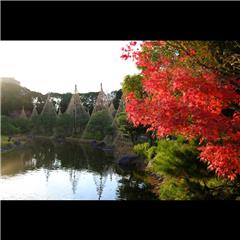 市バス沿線フォトコンテスト熱田区編のハッチー賞作品の画像です